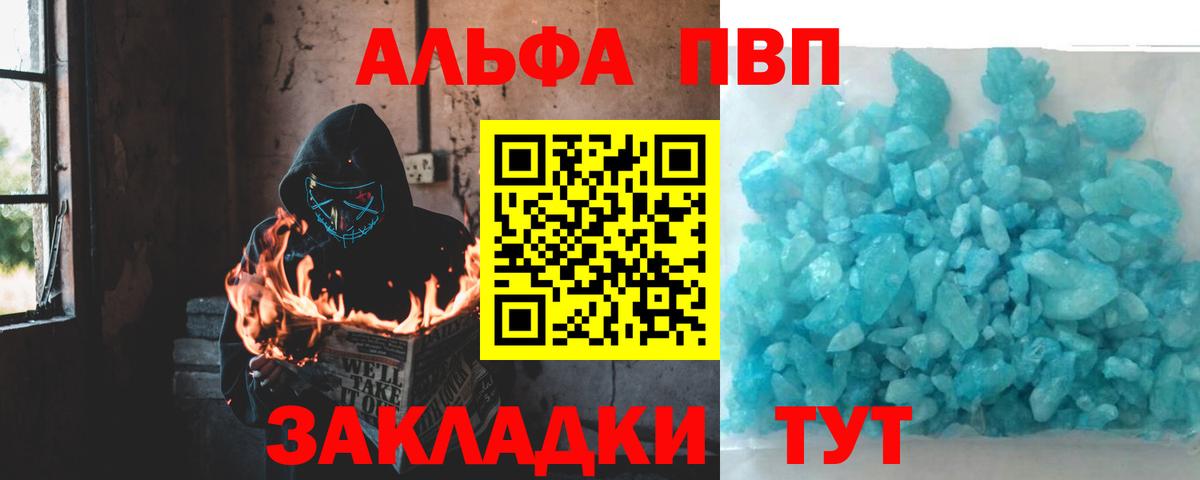 Псилоцибиновые грибы Курчалой