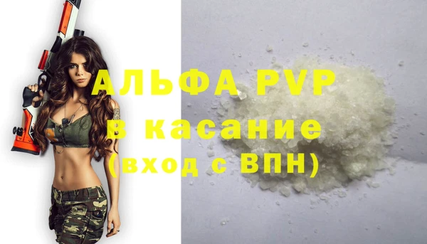 ECSTASY Новодвинск