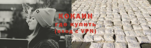 прущие грибы Нея