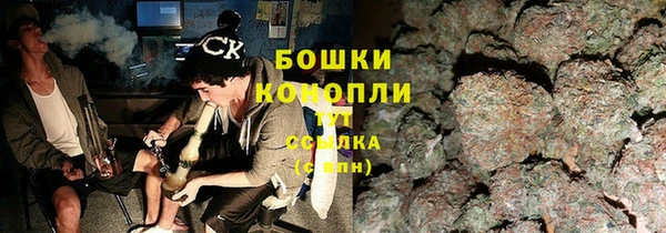прущие грибы Нея