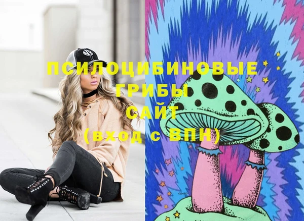 ECSTASY Новодвинск