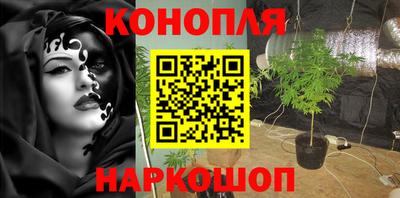 МДПВ Дубна