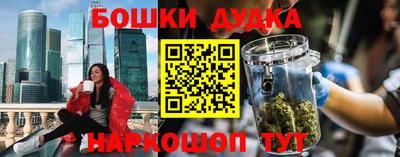МДПВ Дубна
