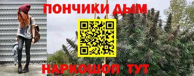 МДПВ Дубна