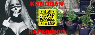 МДПВ Дубна