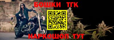 МДПВ Дубна