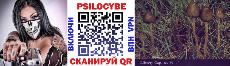 Галлюциногенные грибы MAGIC MUSHROOMS наркота Курчалой