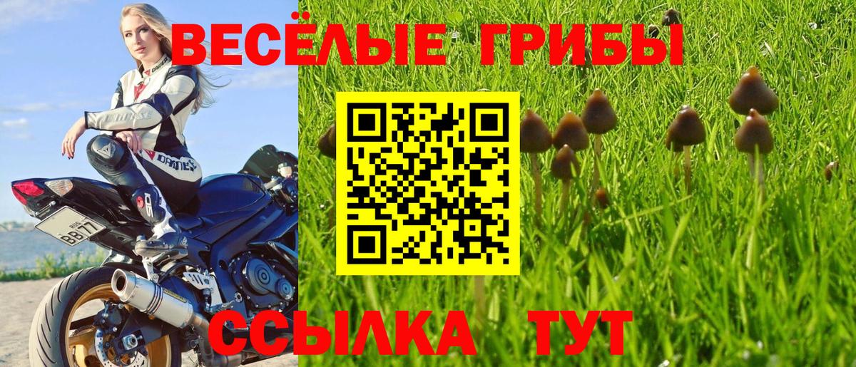 Галлюциногенные грибы Magic Shrooms  Галлюциногенные грибы мухоморы  Курчалой  Вход с VPN 